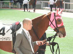 20180401 阪神2R 3歳未勝利 メジャーシャルマン 08