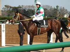 20190302 中山8R 潮来特別(1000) ラッシュアタック 18