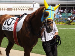 20160910 中山4R 3歳上障害未勝利 ワイルドジーク 03