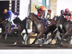 20180523 大井11R 大井記念(S1) ユーロビート 24