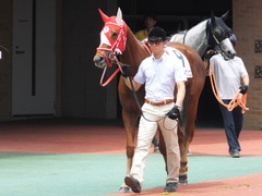 20160710 中京7R 3歳上500万下 レーヌドブリエ 03