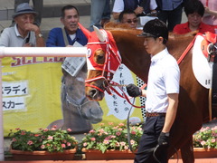 20160618 阪神8R 3歳上牝馬500万下 レーヌドブリエ 15