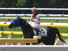 DSCF5374