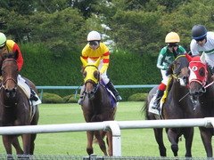 20150920 阪神7R 3歳上500万下 イサチルホープ 12