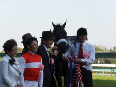 20140412 中山11R ニュージーランドT ショウナンアチーヴ 16