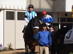 20160124 中山5R 3歳未勝利 アークアーセナル 11