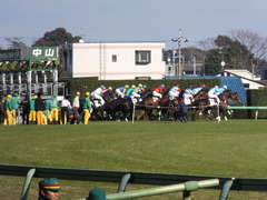 2013 中山競馬場 オウケンブラック 15