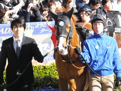 20150221 東京10R アメジストS(1600) アッシュゴールド 07