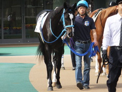 20141026 東京4R サウンドアラムシャ 02