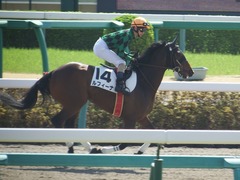 20180325 中山1R 3歳未勝利 ルフィーナ 14