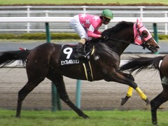 20160710 中京10R 木曽川特別(1000) ビップレボルシオン 24