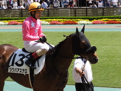 20150530 東京7R 4歳上500万下 ツクバアスナロ 12