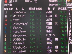 20140126 中山9R オウケンブラック 01