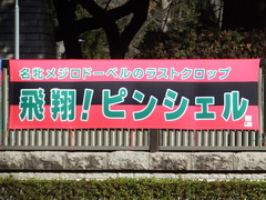 20190126 東京5R 3歳未勝利 ピンシェル 01