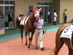 20160710 中京7R 3歳上500万下 レーヌドブリエ 15