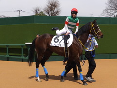 20150328 中山4R 3歳未勝利 ラッシュアタック 11