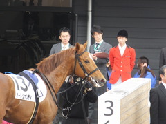 20160305 中山4R 3歳メイクデビュー オートシャンティ 16