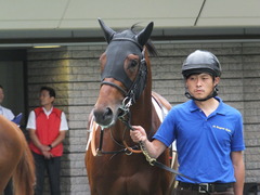 20170618 東京4R 3歳未勝利 ホウオウジャンプ 08
