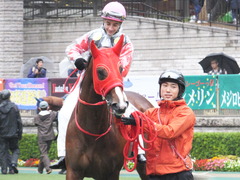 20161119 東京1R 2歳未勝利 パイオニアワーク 11
