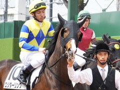 20150321 中山5R 3歳未勝利 ロジダーリング 10