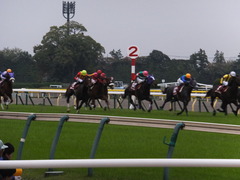 20131109 東京 モーリス 13