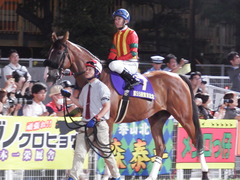 20180919 東京記念(S1) ユーロビート 17