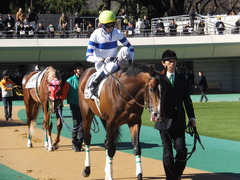 20150131 東京3R 3歳メイクデビュー プエルト 09