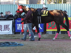 20161215 名古屋11R 名古屋GP(Jpn2) ヴィルトグラーフ 03