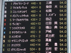 ツクバアスナロ01
