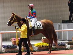 20150404 阪神5R 3歳上500万下 テイケイラピッド 06