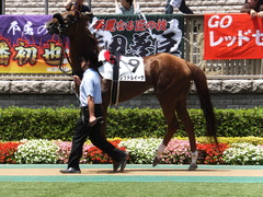 20140629 東京7R レッドルイーザ 06