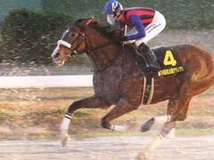 20161215 名古屋11R 名古屋GP(Jpn2) ユーロビート 22