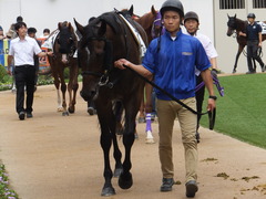 20150919 中山4R 3歳未勝利 ジュンコアー 05