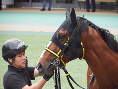 20180506 東京12R 立川特別(1000) ノーモアゲーム 12