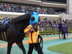 20160130 東京10R クロッカスS モーゼス 09