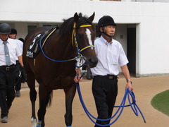 20170930 中山10R 習志野特別(1000) ラッシュアタック 03