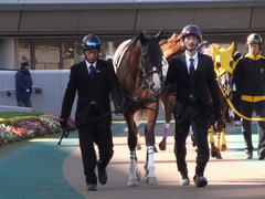 20121118 東京8R ユーロビート