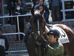 20140321 中山4R ダノンジャガー 10