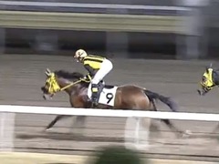 20161215 川崎7R C2 フレンドマキシマム02