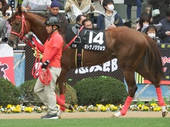 20190310 中山11R アネモネS 3歳牝馬OP オトナノジジョウ 09