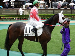 20171021 東京1R 2歳未勝利 サラート 09