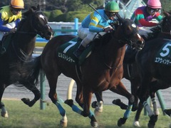 20170212 東京11R 共同通信杯(G3) ビルズトレジャー 21