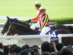 20180401 阪神11R 大阪杯(G1) トリオンフ 12