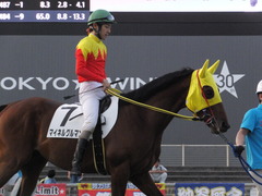 20160518 大井8R B3 マイネルグルマン 10