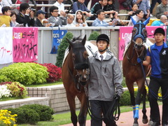 20141004 新潟7R ツクバアスナロ 07