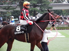 20171104 東京9R 南武特別(1000) ピッツバーグ 06