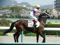20180331 阪神3R 3歳未勝利 テンノカガヤキ 18