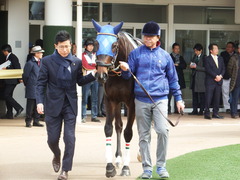 20180318 中山1R 3歳牝馬未勝利 ラプターゲイル 04