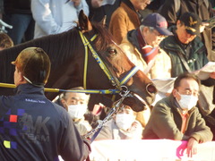 20190113 中山12R (1000) ラッシュアタック 12