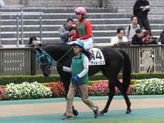 20151123 東京1R 2歳未勝利 アイルーロス 08